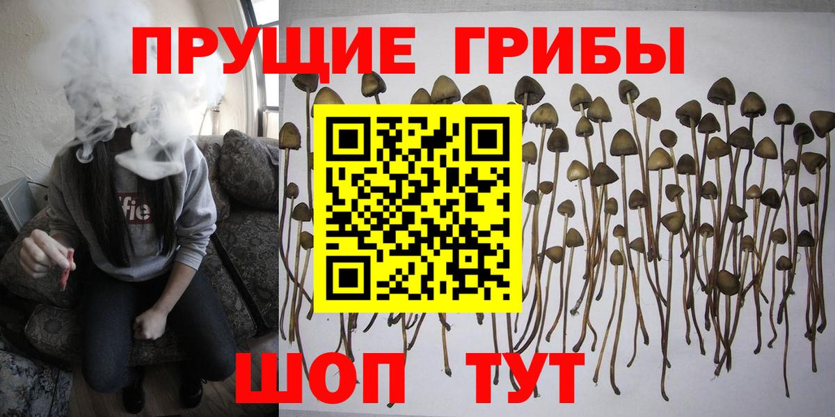 Псилоцибиновые грибы Psilocybine cubensis  Вход с VPN  Галлюциногенные грибы мицелий  Октябрьский 