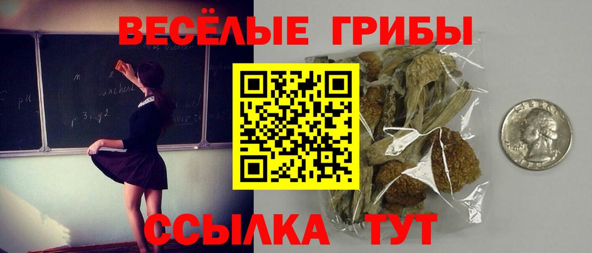Псилоцибиновые грибы MAGIC MUSHROOMS Октябрьский